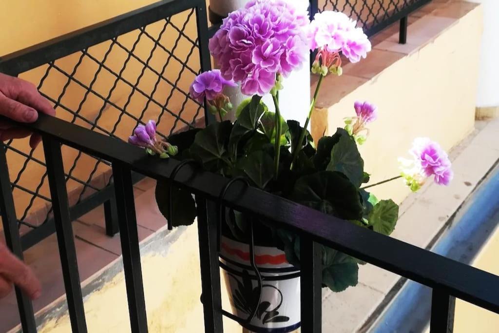 El Patio De San Bernardo — Photos 3